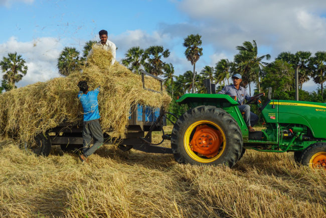Alors que la saison des pluies approche, les agriculteurs du Sri Lanka planifient à l’avance
