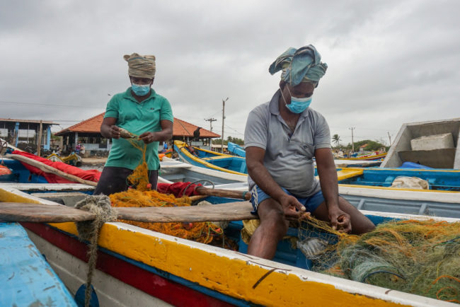 Les pêcheurs au Sri Lanka prospèrent malgré la pandémie