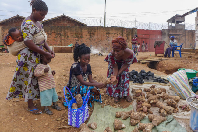 Un vendeur vend des racines de taro en RDC