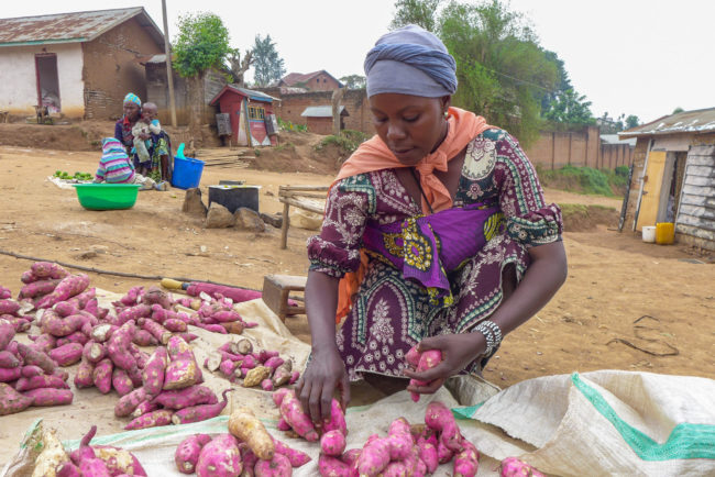 Un vendeur vend des patates douces au marché de la RDC
