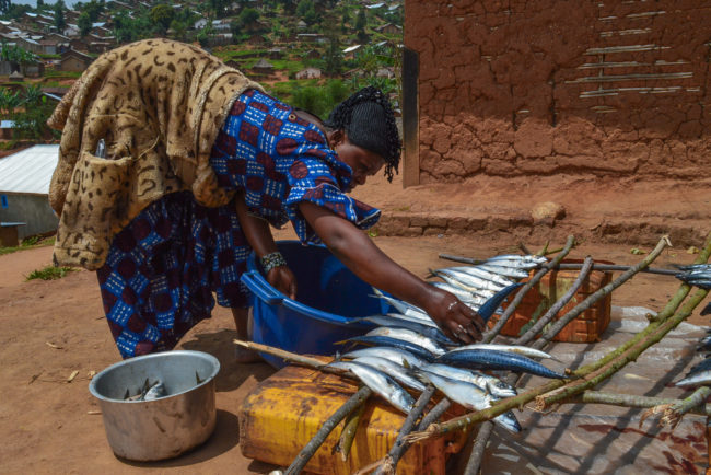 Un vendeur de produits alimentaires lave le poisson en RDC